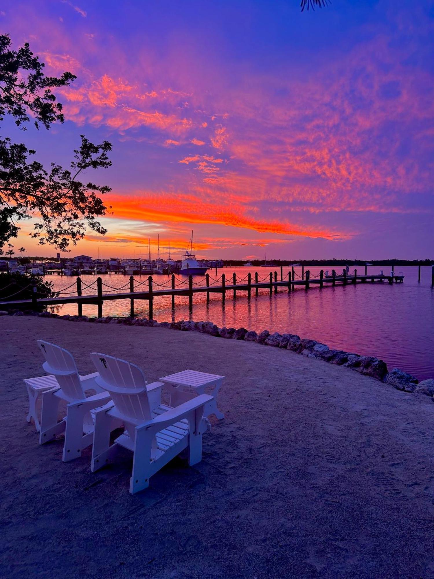 Coconut Palm Inn Tavernier Экстерьер фото